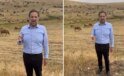 Otlayan Hayvanlarla Video Çeken Vekil, Bakan Yumaklı’ya seslendi: Bu zararı karşılayın