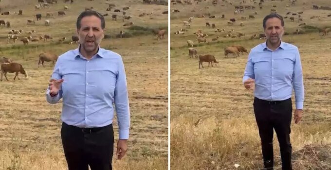 Otlayan Hayvanlarla Video Çeken Vekil, Bakan Yumaklı’ya seslendi: Bu zararı karşılayın