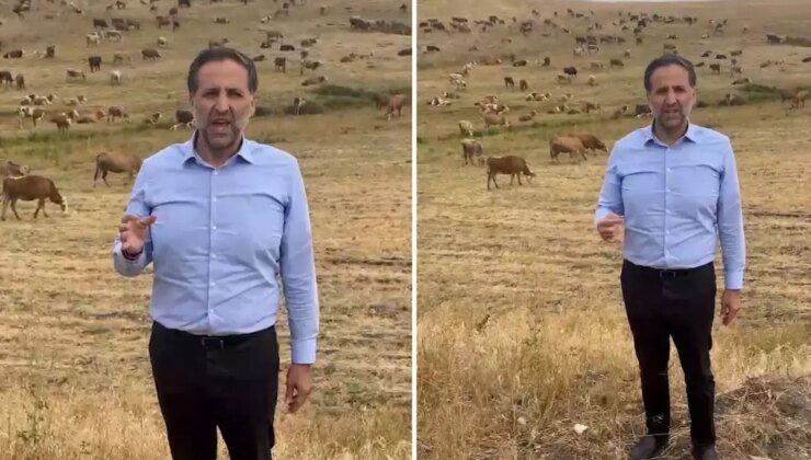 Otlayan Hayvanlarla Video Çeken Vekil, Bakan Yumaklı’ya seslendi: Bu zararı karşılayın