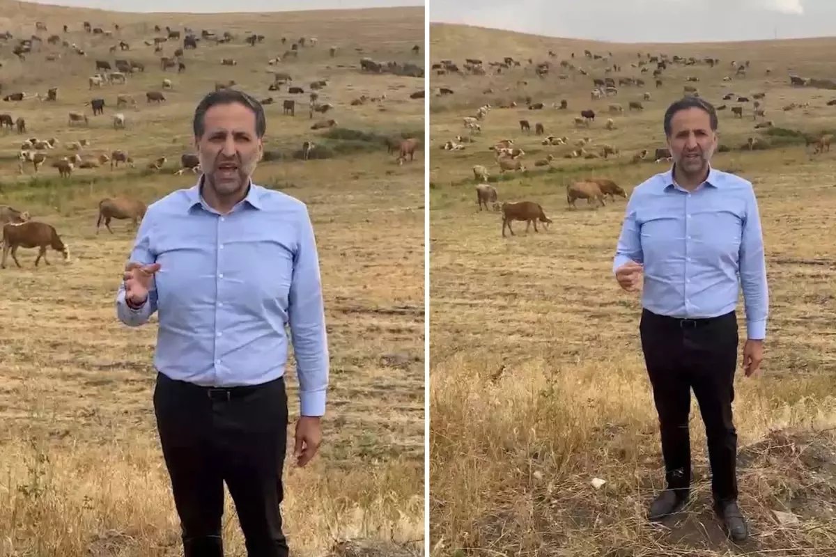 Otlayan Hayvanlarla Video Çeken Vekil, Bakan Yumaklı’ya seslendi: Bu zararı karşılayın