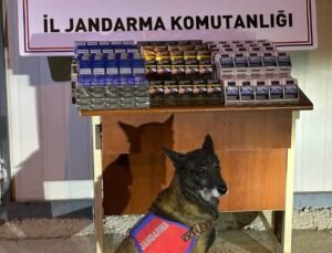 Kayseri’de Jandarma Kontrolünde Tırda Gizlenmiş Yüzlerce Kaçak Sigara Yakalandı!