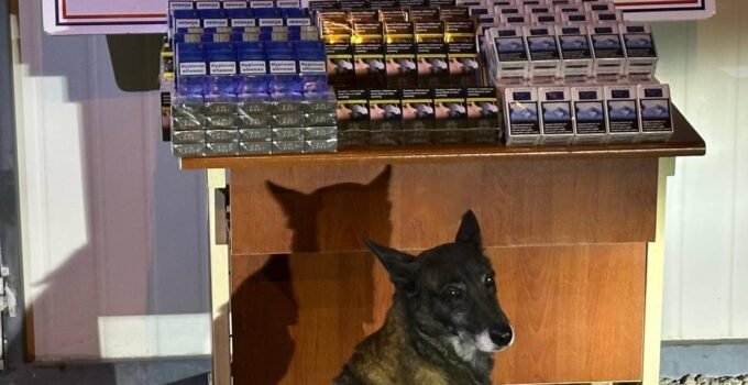 Kayseri’de Jandarma Kontrolünde Tırda Gizlenmiş Yüzlerce Kaçak Sigara Yakalandı!