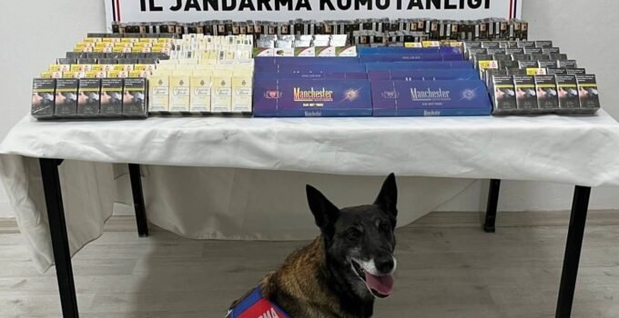 Kayseri’de Kaçak Sigaraya Geçit Yok! Tır Kontrolünde 500 Paket Sigara Ele Geçirildi