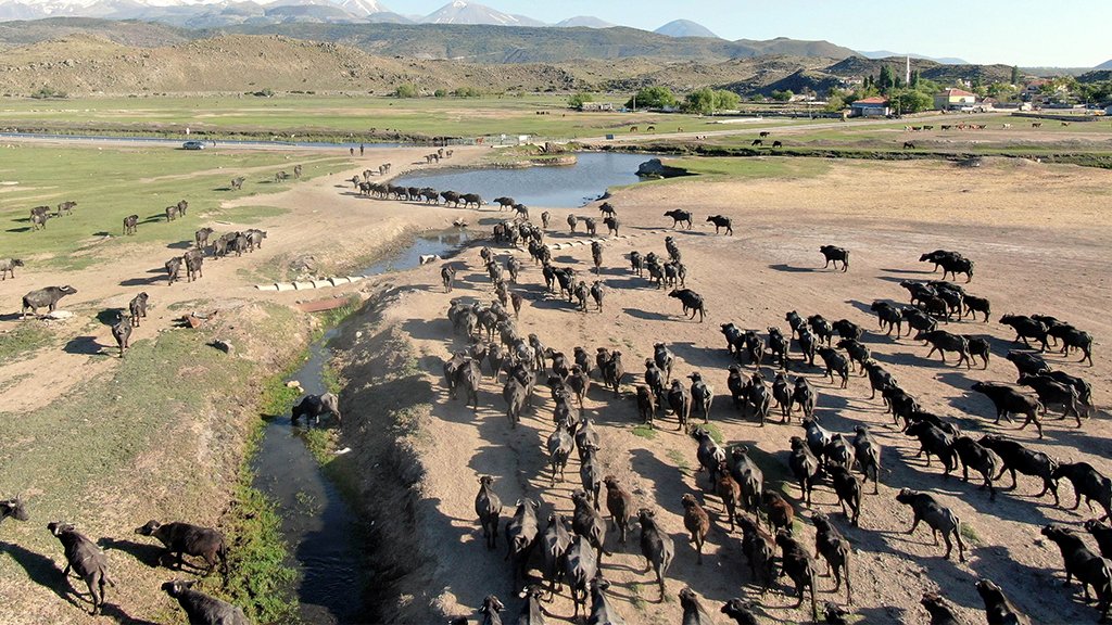 Hürmetçi Sazlığı Nerede? Nasıl Gidilir?