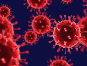 Dünya Alarmda! Mutasyona Uğrayan H3N2 Virüsü Hızla Yayılıyor Okullar Tatil Edildi