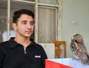 14 yaşındaki Berk, yaralı bulduğu İshak kuşunun yaşama tutunmasını sağladı