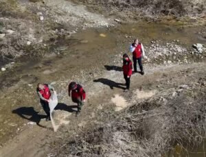 Aydın’da flamingolar için yemleme çalışması