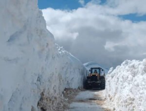 Bitlis’te çığ ve heyelan ulaşımı aksattı