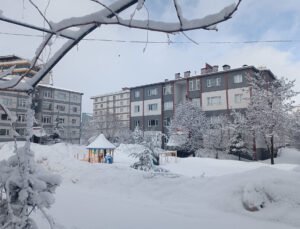 Bitlis’te kar yağışı