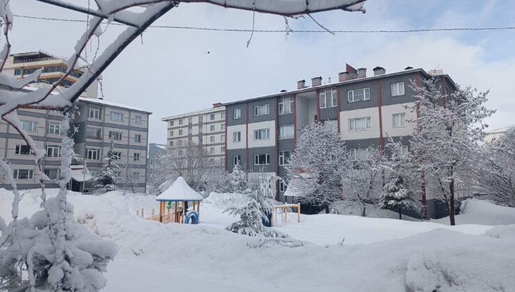 Bitlis’te kar yağışı