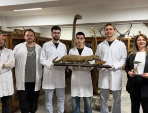 Doldurulmuş hayvan koleksiyonu, müzede korunuyor