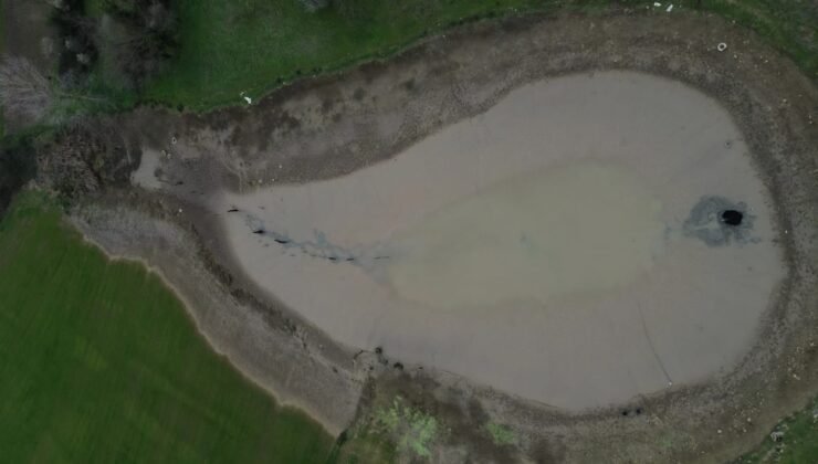 Göletin suyu boşalınca balıklar açıkta kaldı