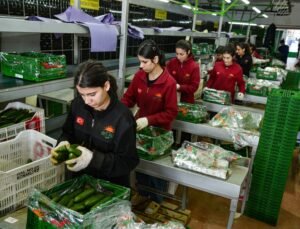 İran savaşı sonrası Türkiye’den Rusya’ya sebze ihracatı arttı