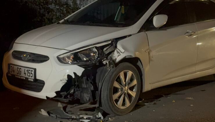 İstanbul – Arnavutköy’de başıboş at park halindeki araçlara çarptı