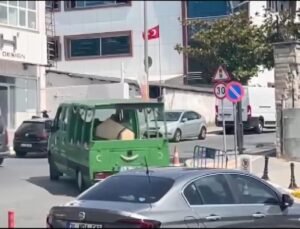 İstanbul – Ayşe Tokyaz cinayeti davası: Sanıklar 2’nci kez hakim karşısına çıkıyor – 1