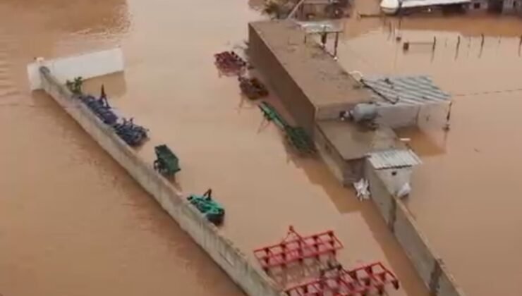 Mardin’de sağanak; dereler taştı, evler ile tarım arazilerini su bastı (3)