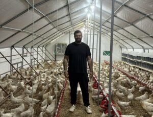 Otomobilini satıp hayali olan tavuk çiftliğini kurdu