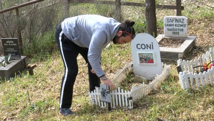 Türkiye’nin ilk evcil hayvan mezarlığına bayram ziyareti