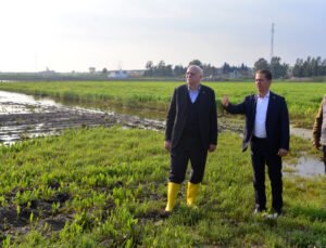 TZOB Genel Başkanı Bayraktar: Adana’da 36 bin 566 dönüm tarım alanı su altında kaldı