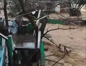 Yalova’da sağanak nedeniyle dereler taştı, 5 büyükbaş öldü