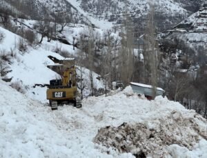 Yüksekova’da köye düşen çığ korkuya neden oldu
