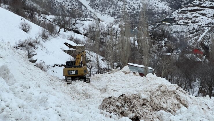 Yüksekova’da köye düşen çığ korkuya neden oldu
