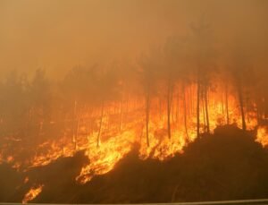 2025’te ihmal, dikkatsizlik, kasıt ve kazadan 1933 orman yangını çıktı
