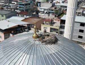 6 yıldır aynı yuvaya dönüyorlar