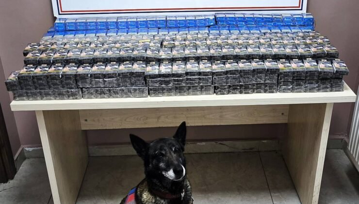 Kayseri’de 2 TIR’da kaçak sigara ele geçirildi