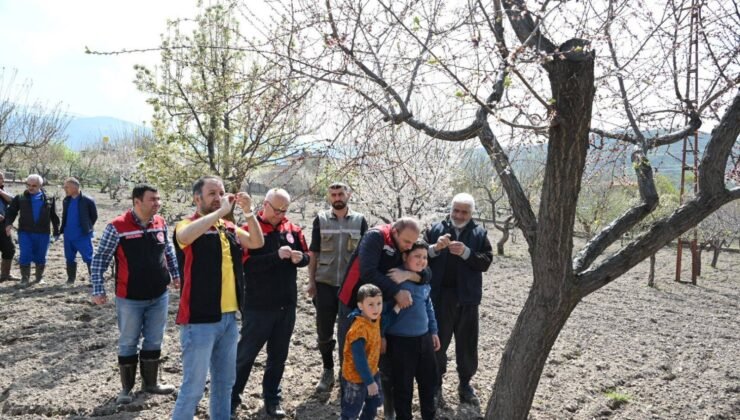 İl Müdürü Saklav’dan Hacılar’daki meyve ağaçlarında inceleme