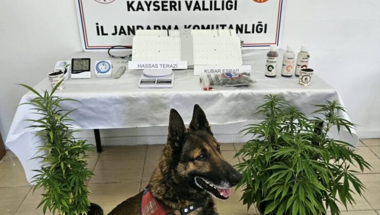 Kayseri’de 1 kişiye uyuşturucu gözaltısı
