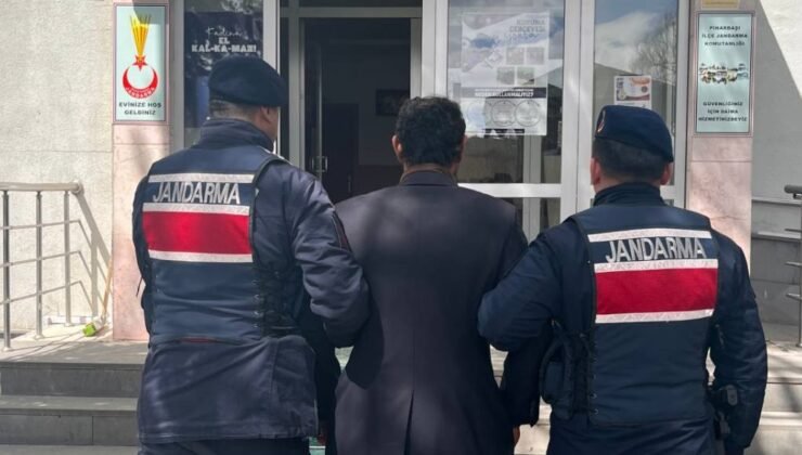 Çok yediğini iddia ettiği köpeğini ağaca asıp öldüren şüpheli tutuklandı