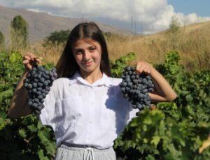 Erzincan tulum peyniri ve Cimin üzümü ‘Slow Food Ark of Taste’ listesine alındı
