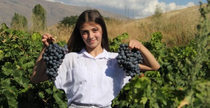 Erzincan tulum peyniri ve Cimin üzümü ‘Slow Food Ark of Taste’ listesine alındı
