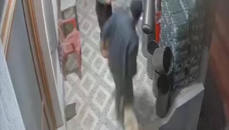 Köpek saldırısına parmağı koptu; o anlar kamerada