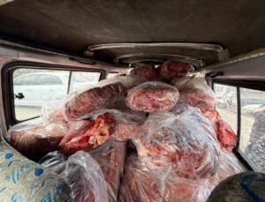 Uygunsuz koşullarda taşınan 1,6 ton sakatat imha edildi