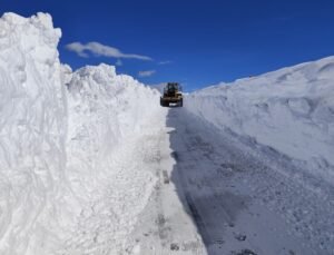 Van’da nisanda karla mücadele