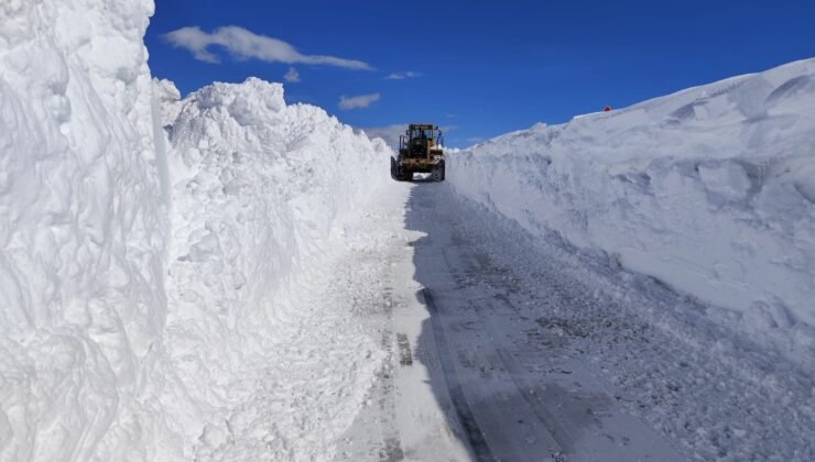 Van’da nisanda karla mücadele