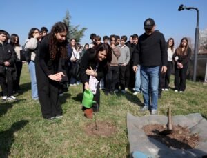 Yürüyen Köşk’ün simgesi olan çınardan elde edilen fide, Anıtkabir’de toprakla buluştu