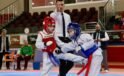 Okul Sporları Taekwondo Minikler İl Birinciliği sona erdi