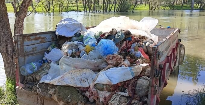 Zamantı Irmağı’nda Kurban Atığı Tepkisi