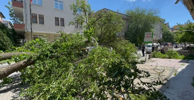Kayseri’de Dut Ağacı Minibüsün Üzerine Devrildi