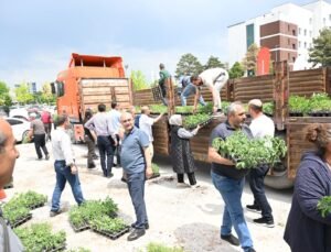 KTB’den vatandaşlara 30 bin fide desteği