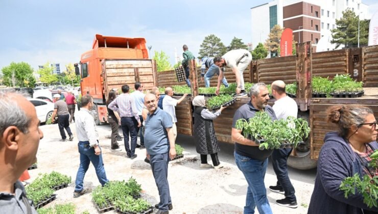 KTB’den vatandaşlara 30 bin fide desteği