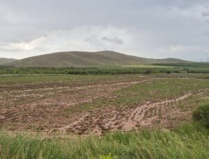 Yeşilhisar’da Sel: Tarım Arazileri Sular Altında Kaldı