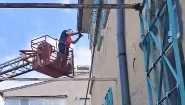 Develi’de mahsur kalan kırlangıcı itfaiye kurtardı