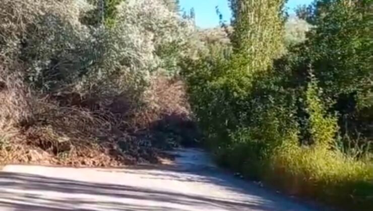 Sarıoğlan’da heyelan ulaşımı durdurdu