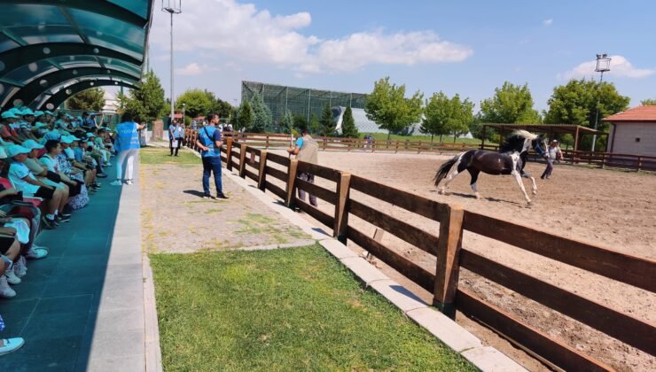 15 Temmuz’da hayvanat bahçesi ziyaretçi akınına uğradı