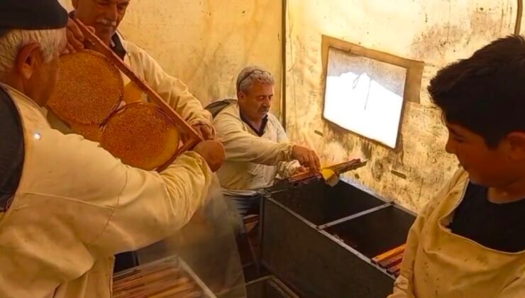 Bünyan’da bal hasadı başladı