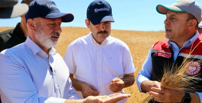 Başkan Çolakbayrakdar, çiftçilerle buluştu, hasada katıldı